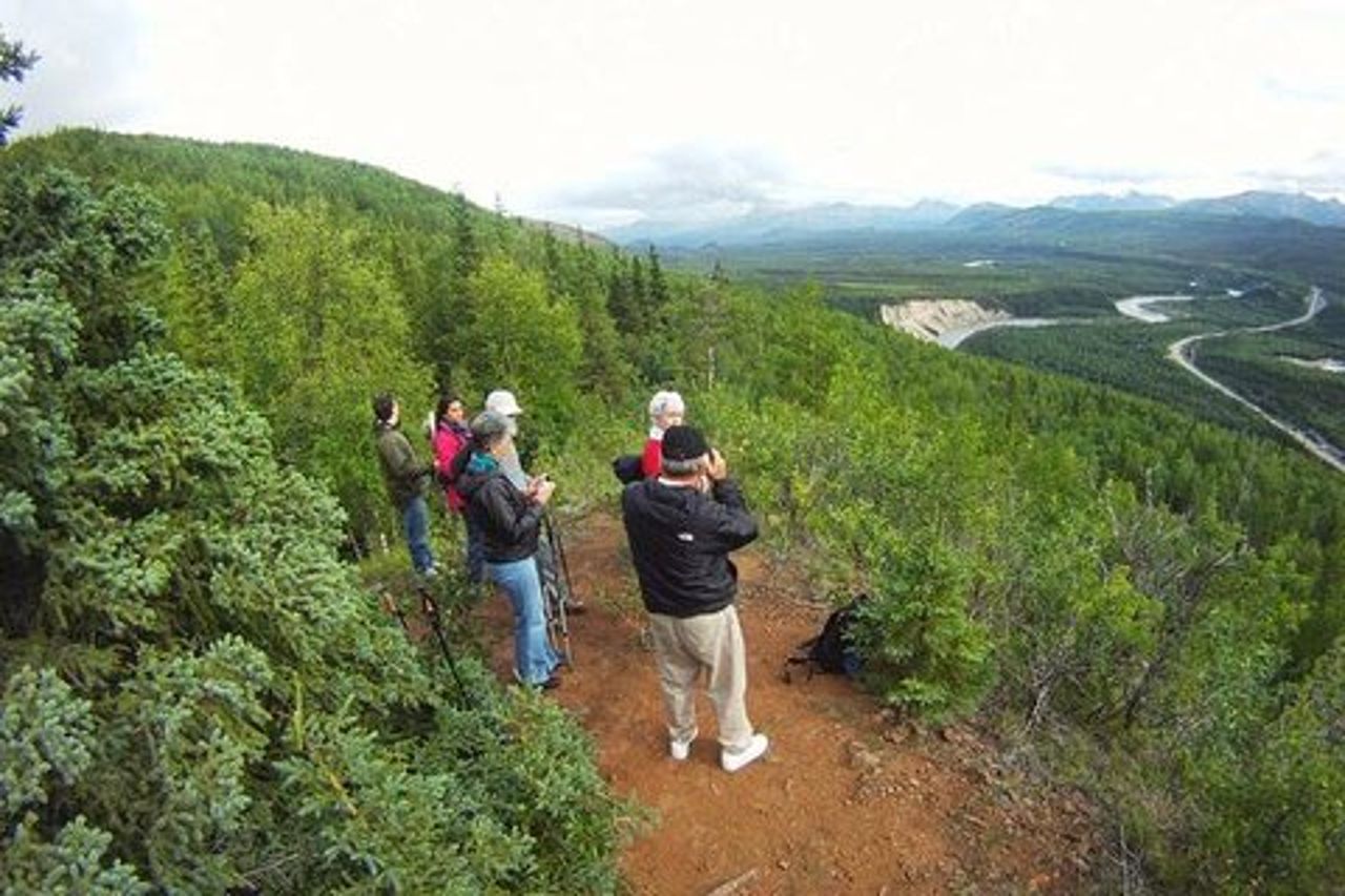 Tour a piedi di 5 ore a Denali con Guida Naturalista