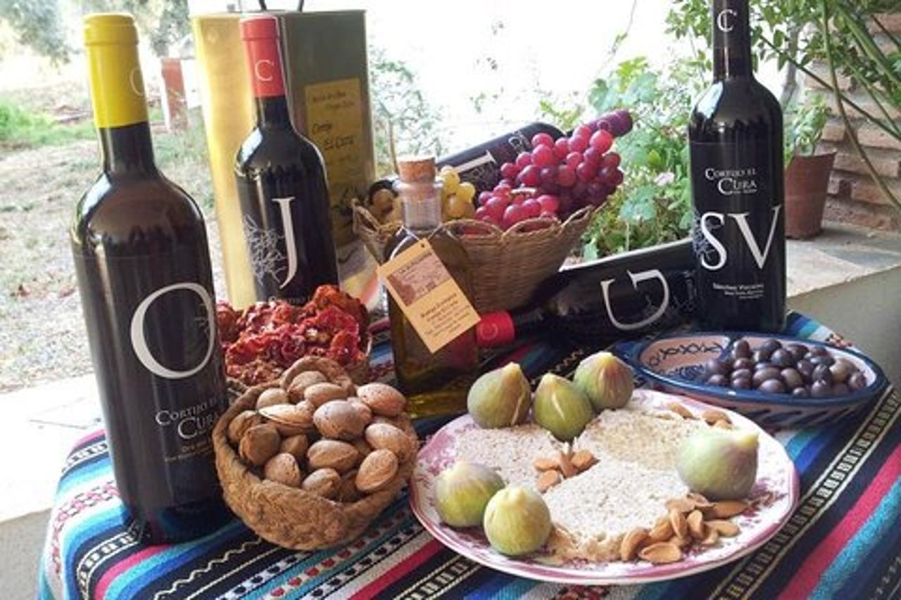Tour del vino di Almería, degustazione in cantina biologica e aperitivo in inglese