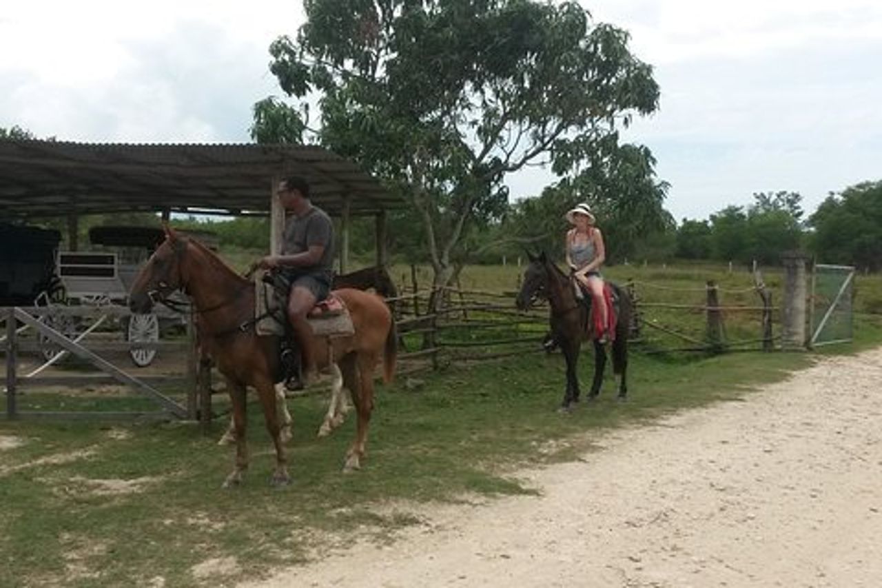 Combo di Horseback Ride e Mayfield Falls da Negril