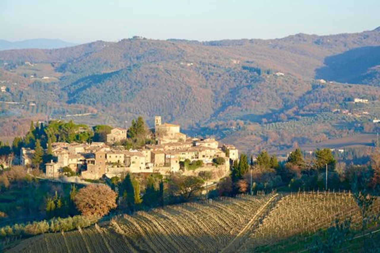 Tour privato: tour della regione del Chianti in minivan