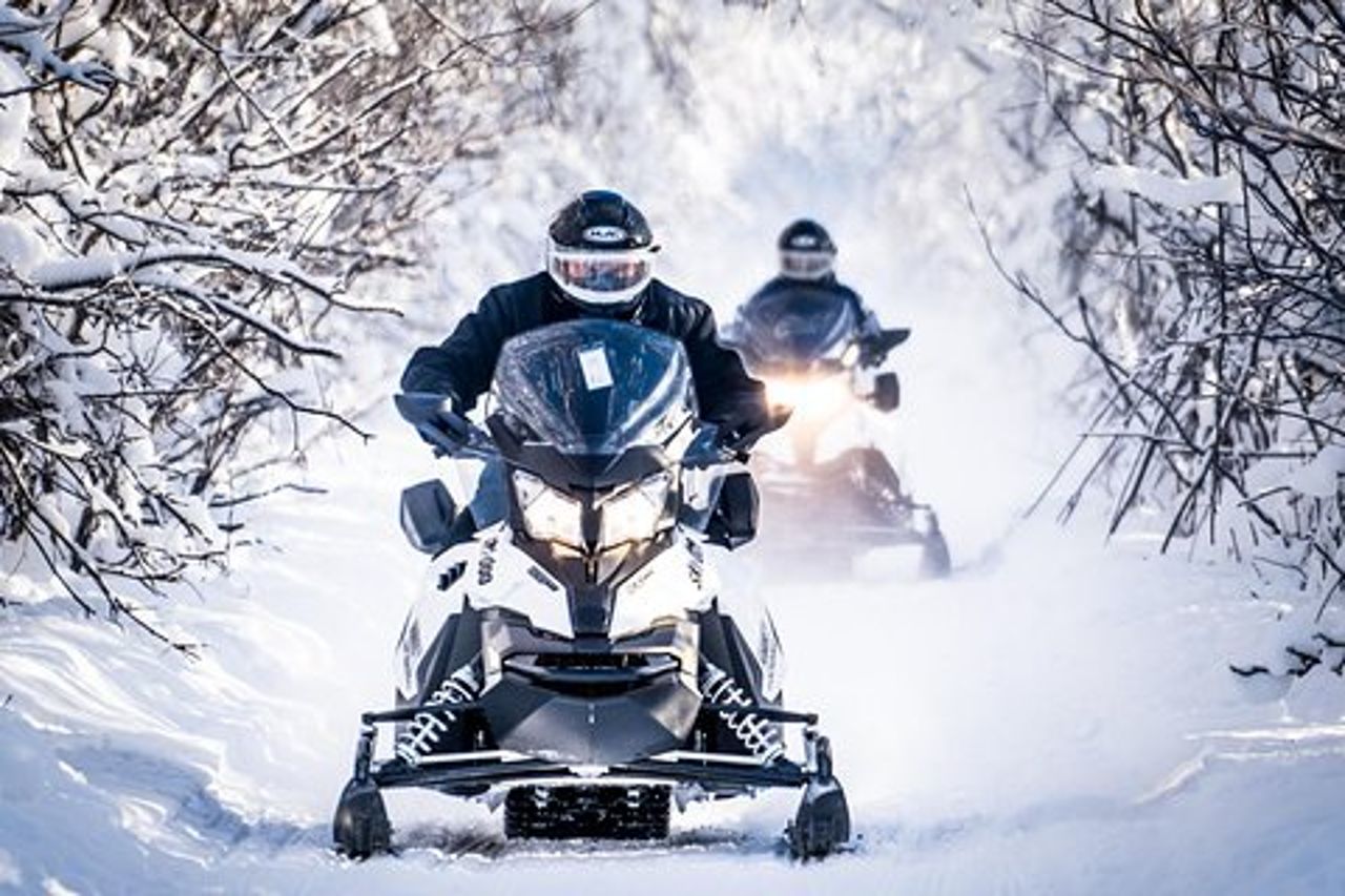 Tour guidato della motoslitta di Fairbanks