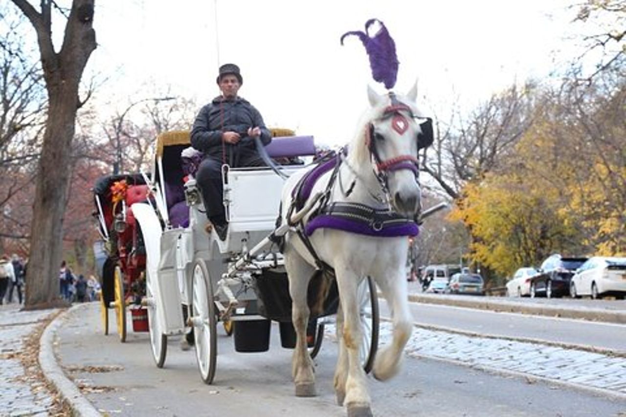 Tour in carrozza trainata da cavalli nel Central Loop di New York City