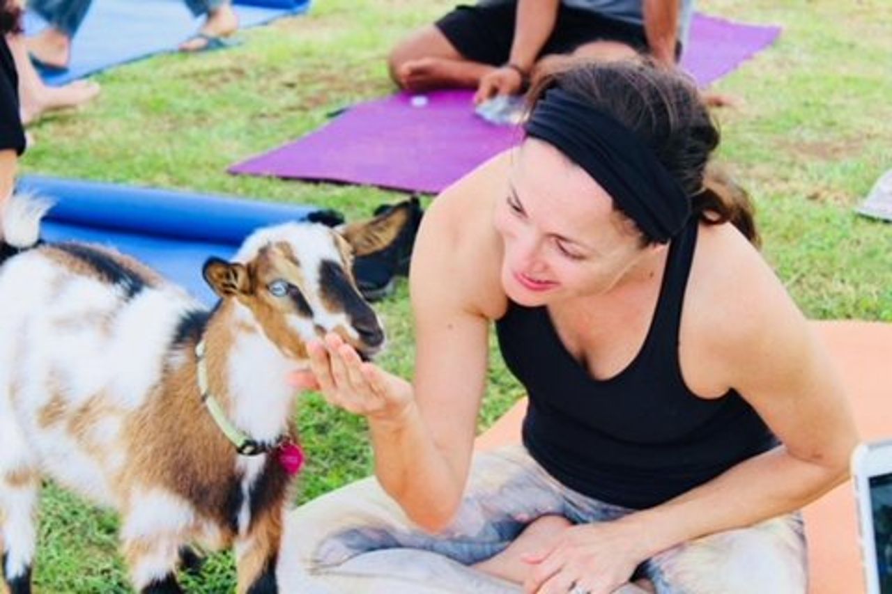 Goat Yoga con capre in miniatura a Maui