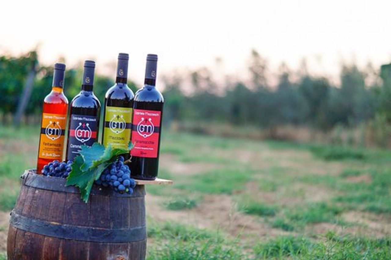 Degustazione di vino e olio