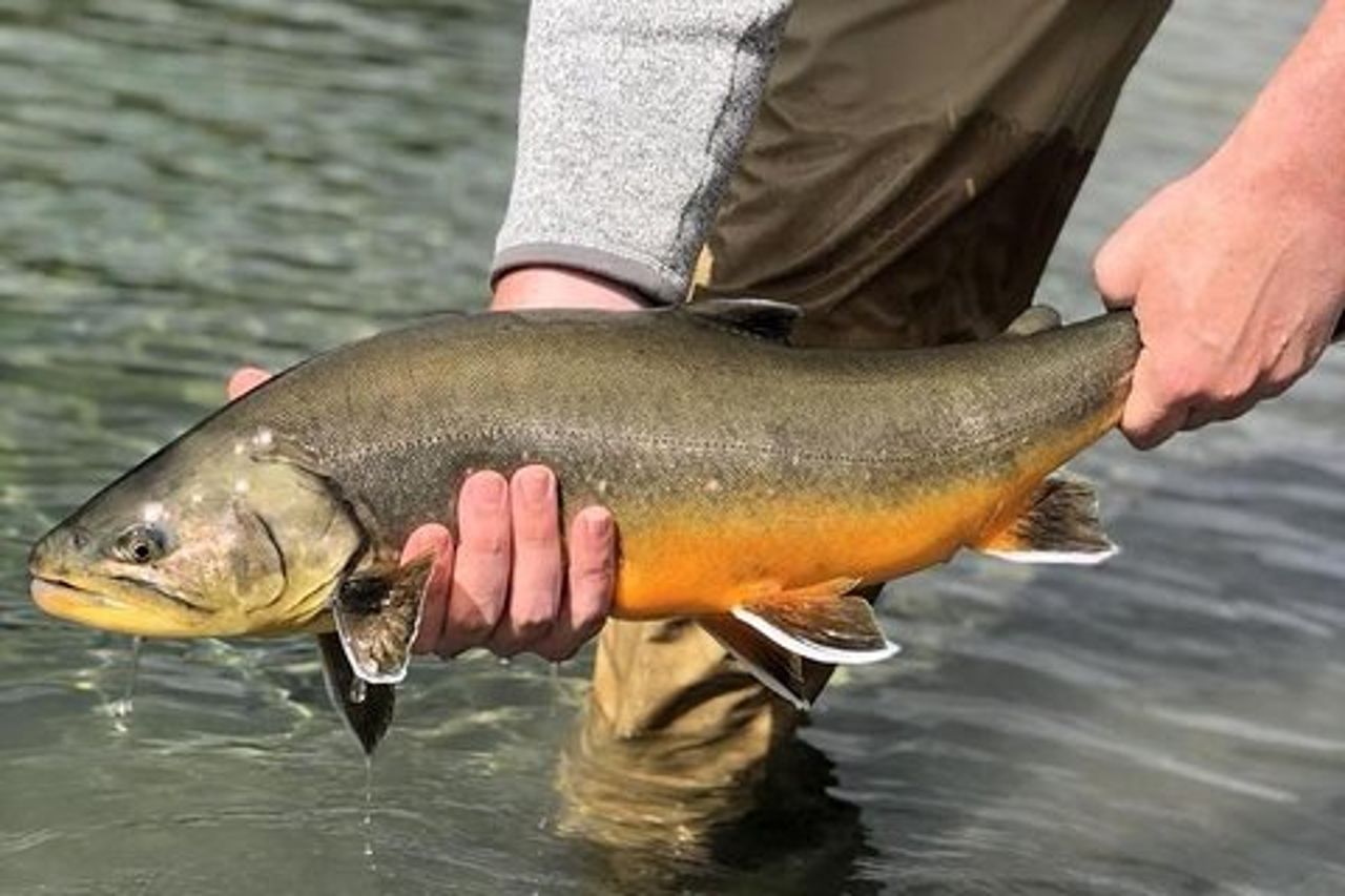 Tour privato di pesca sul lago e sul fiume da Reykjavik
