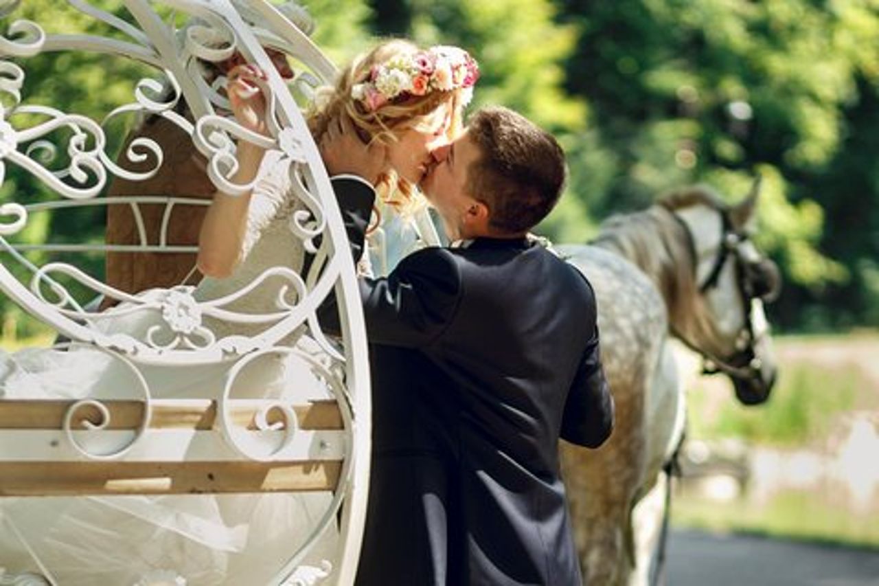 Proposta romantica Tour in carrozza a Central Park