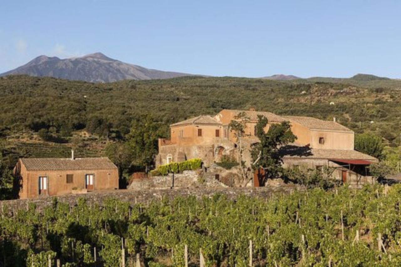 Tour privato di 6 ore di tre cantine dell'Etna con degustazione enogastronomica