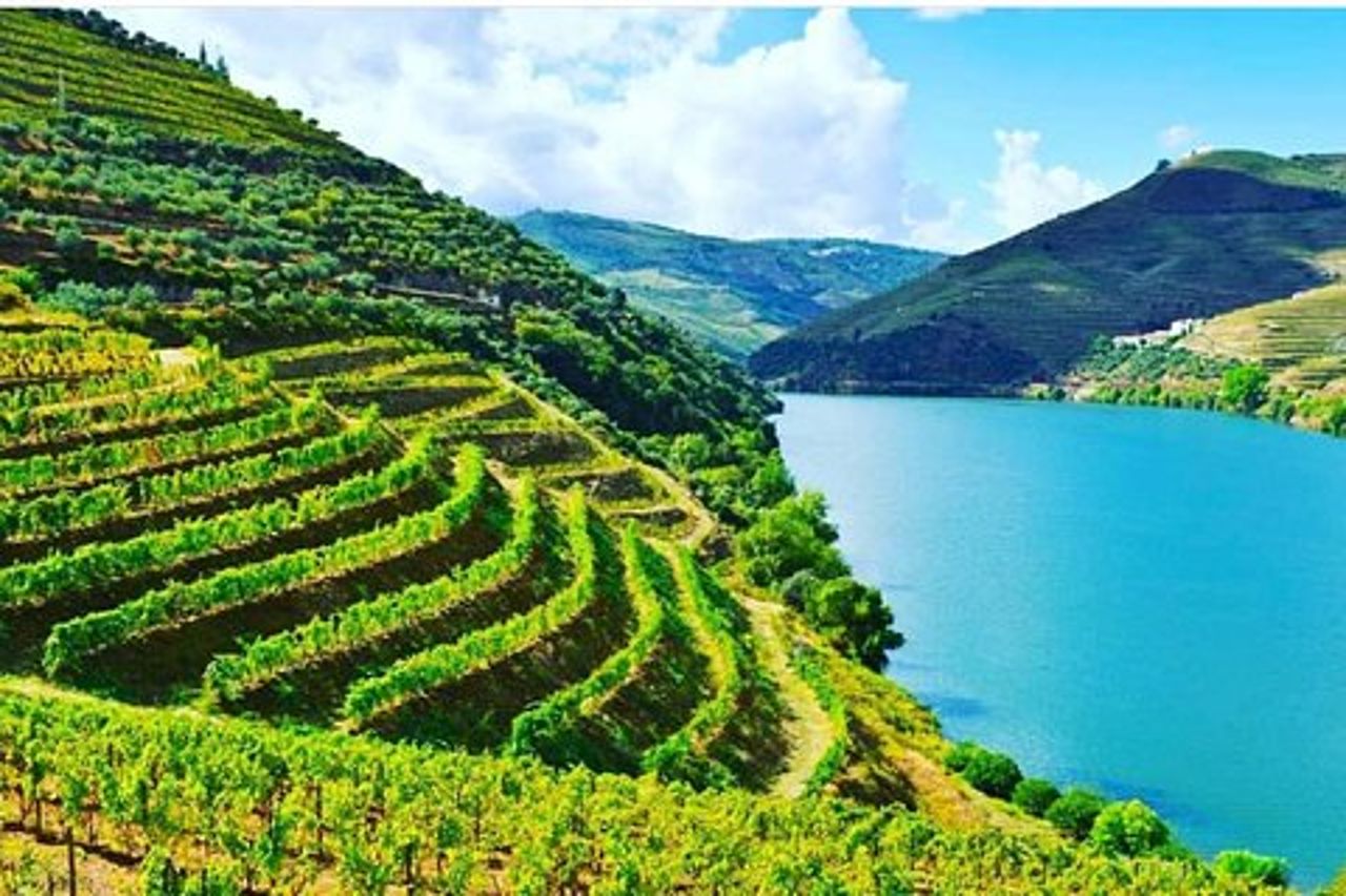 Tour enogastronomico della Valle del Douro privato da Porto