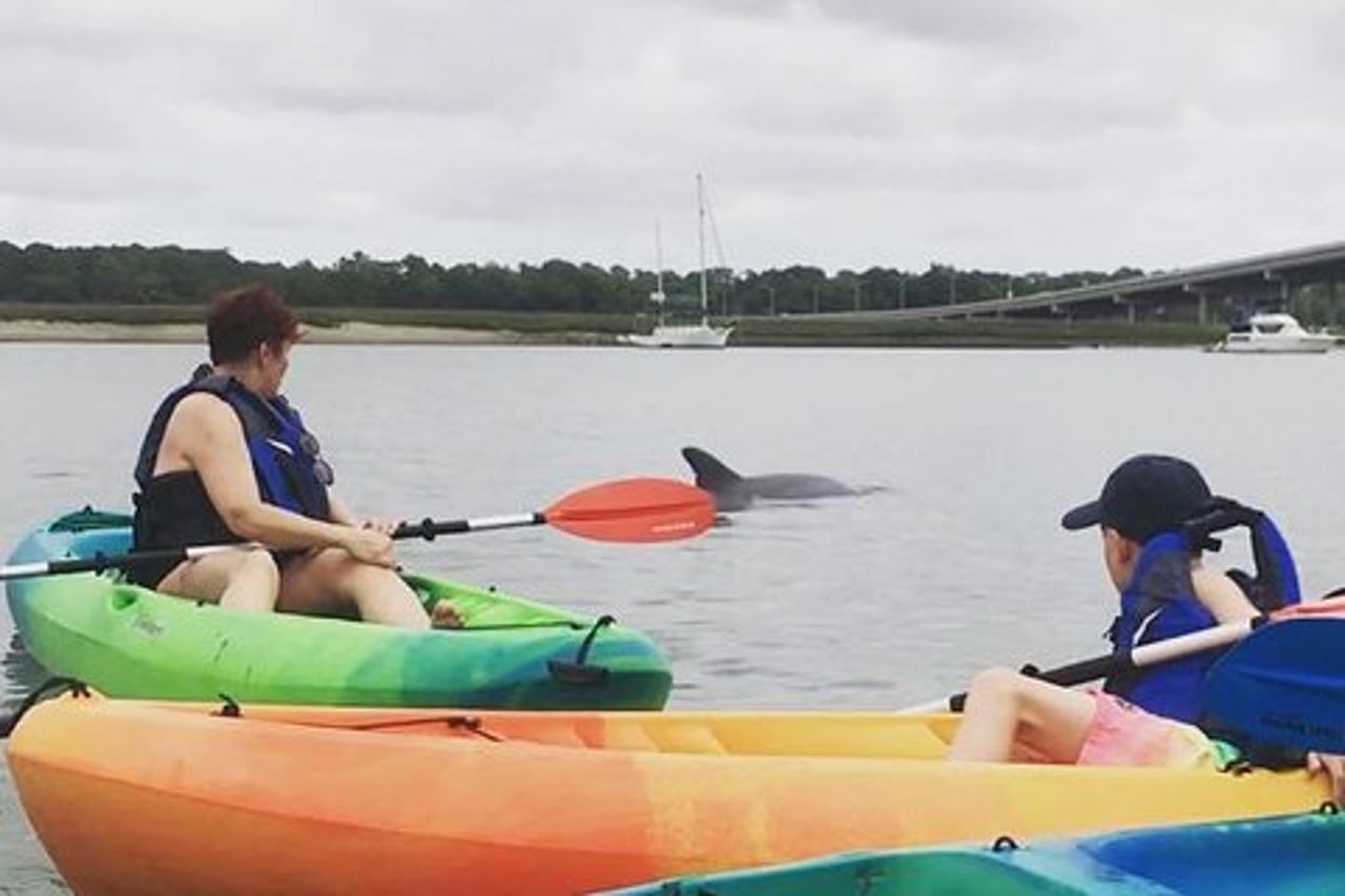 Tour ecologico guidato in kayak di Hilton Head