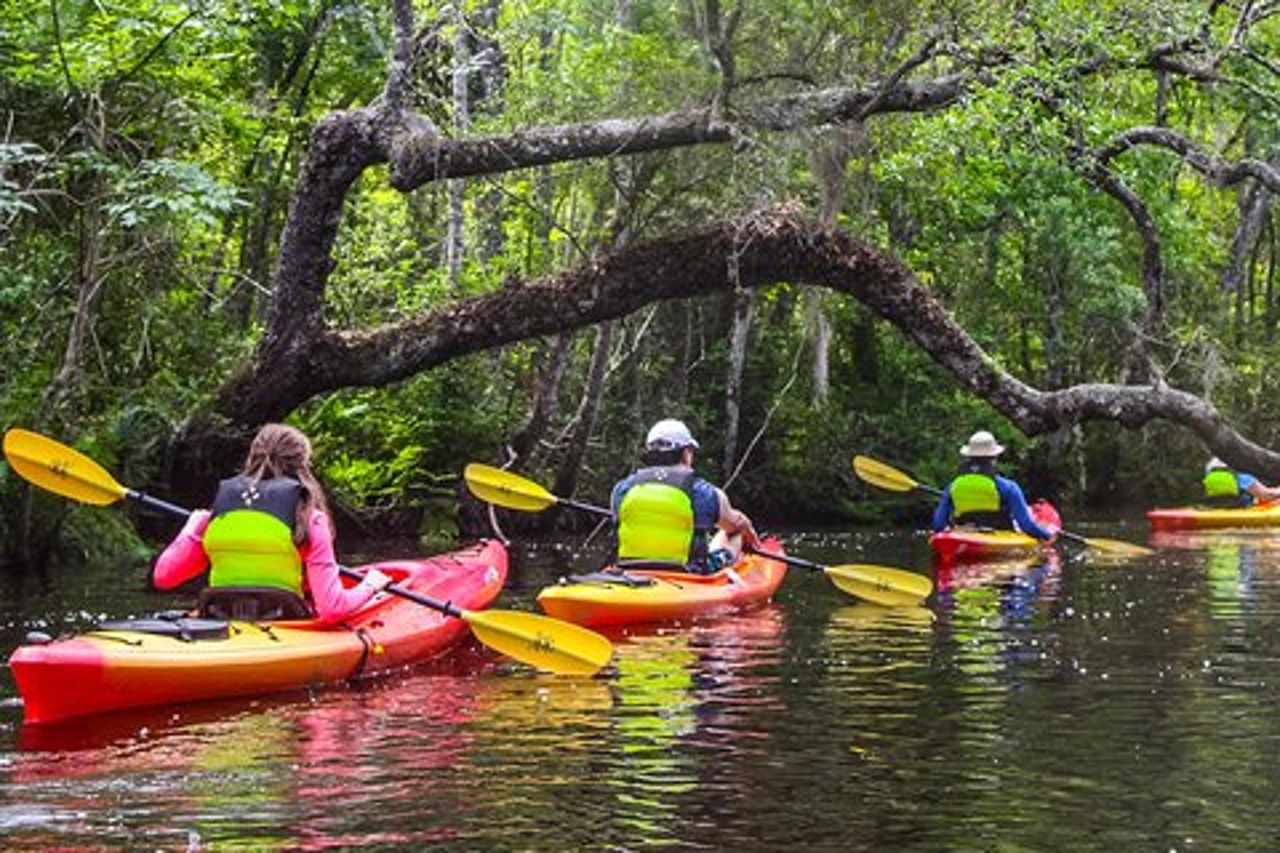 Tour guidato in kayak dell'Amelia Island di Lofton Creek
