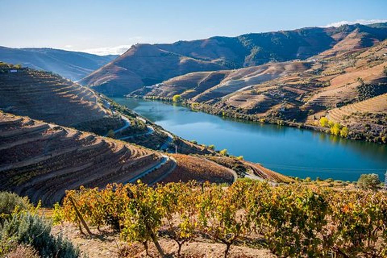 Valle del Douro: tour privato con pranzo e tenuta del vino tutto incluso