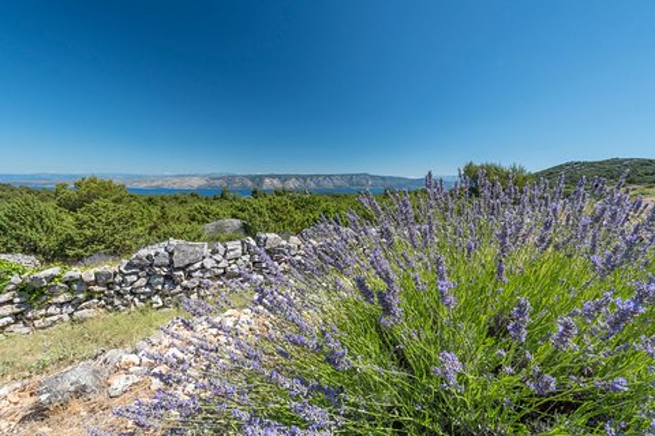 Tour esclusivo del vino di Hvar - viste panoramiche e vini locali
