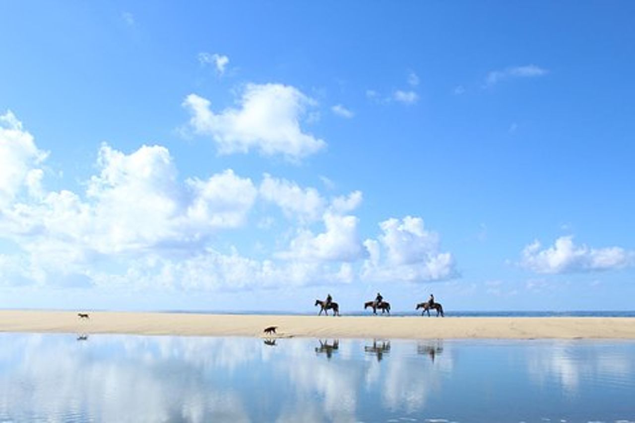 Tour a cavallo a Cabo San Lucas