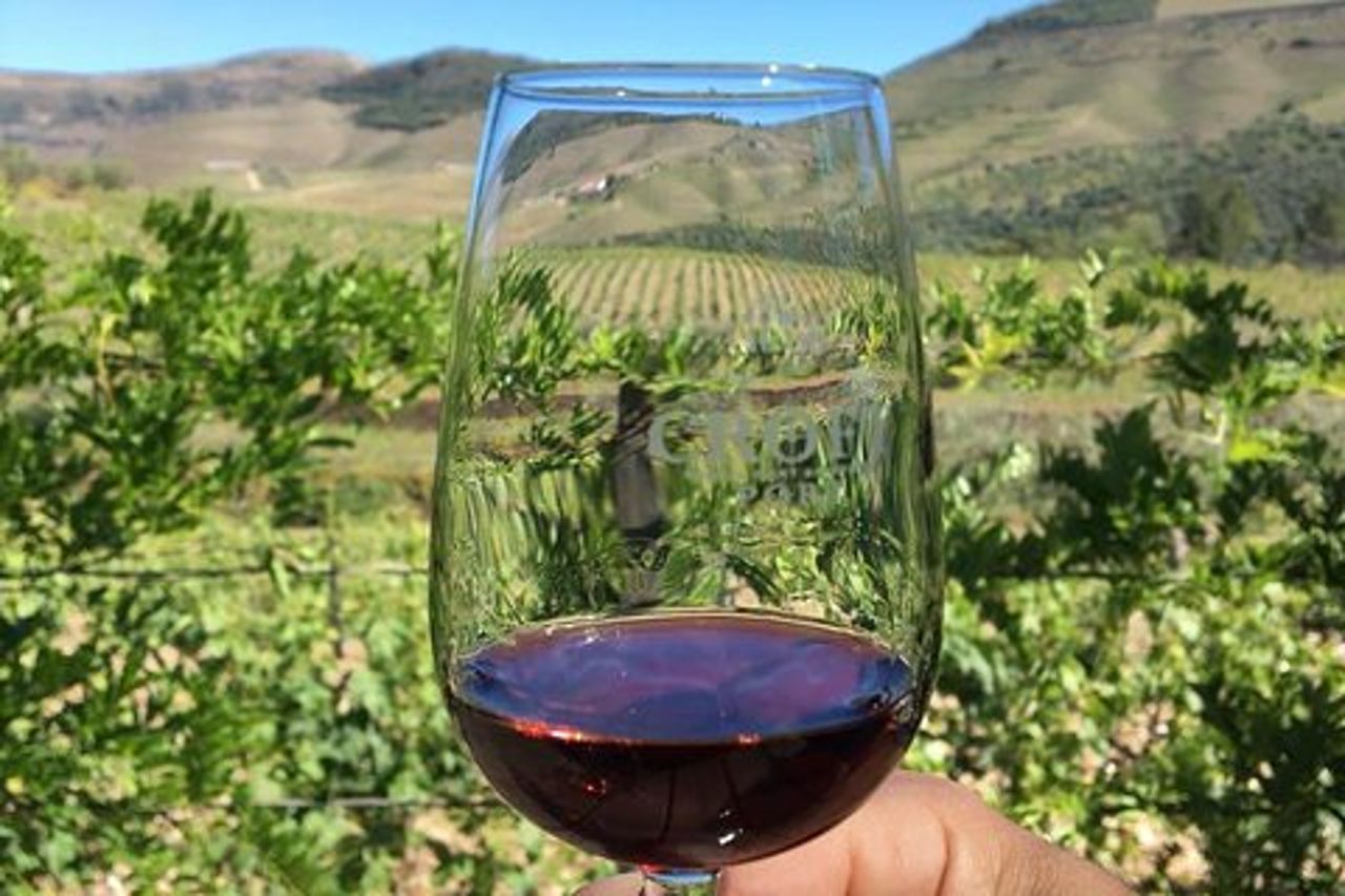 Gita di un giorno attraverso l'incantevole valle del Douro #DuckSideOfPorto
