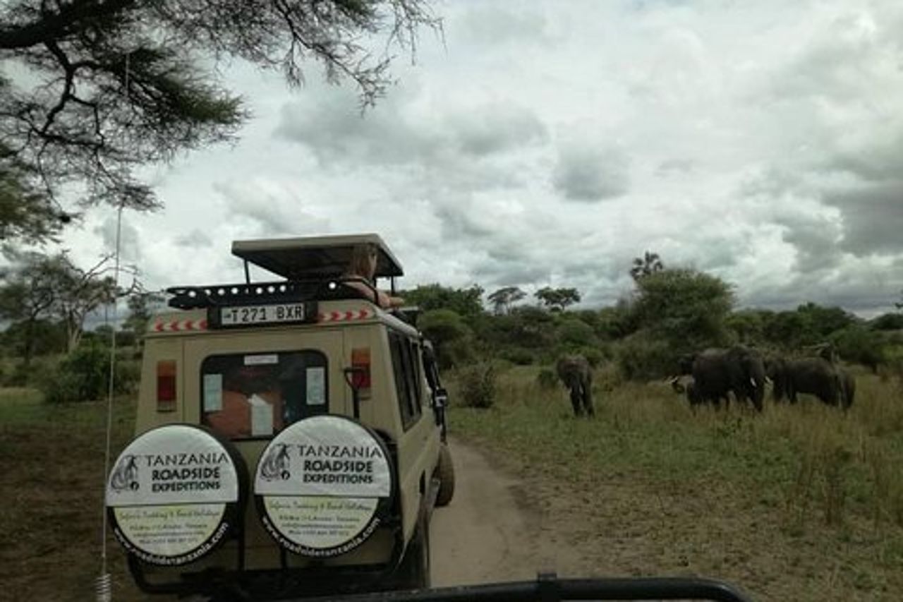 Safari di 3 giorni nei parchi Tarangire, Ngorongoro e Lago Manyara