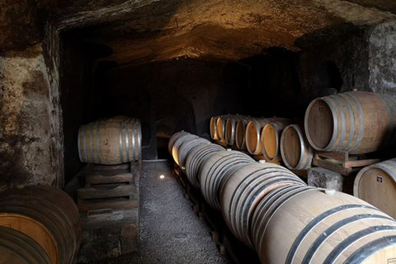 Unica EnoBike experience con degustazione in 2 eccellenti cantine