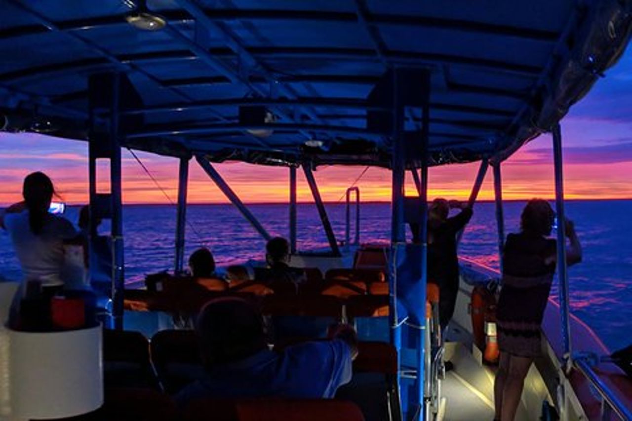 Crociera al tramonto a Darwin con pesce e patatine