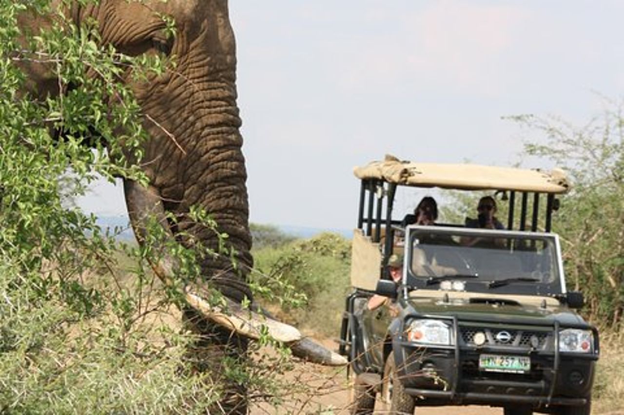 Drive del gioco Full Day del Parco Nazionale Kruger