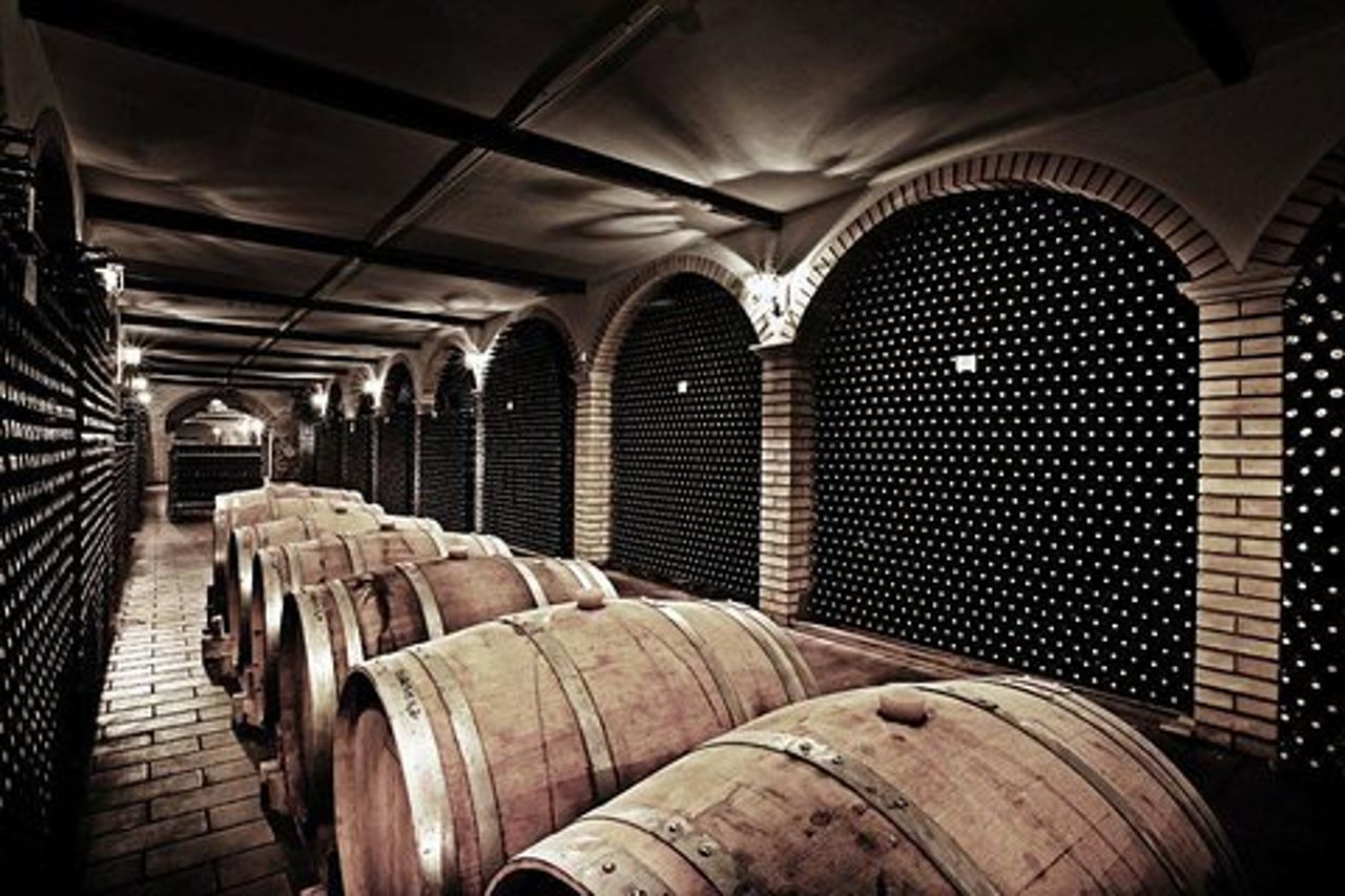 Cantine Bosco Nestore - Wine tour e Degustazione