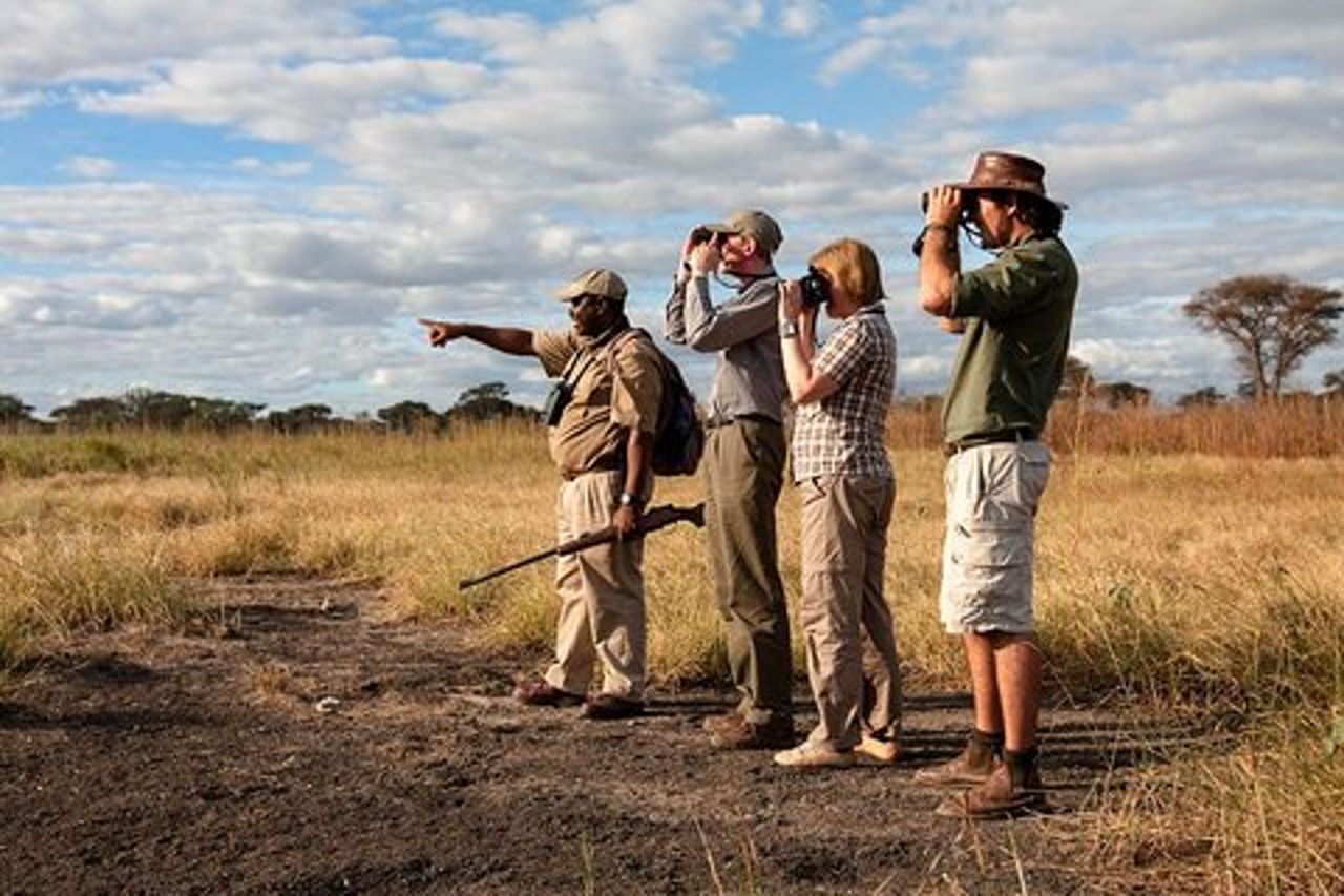 Safari a piedi e game drive Mikumi National Park da Morogoro