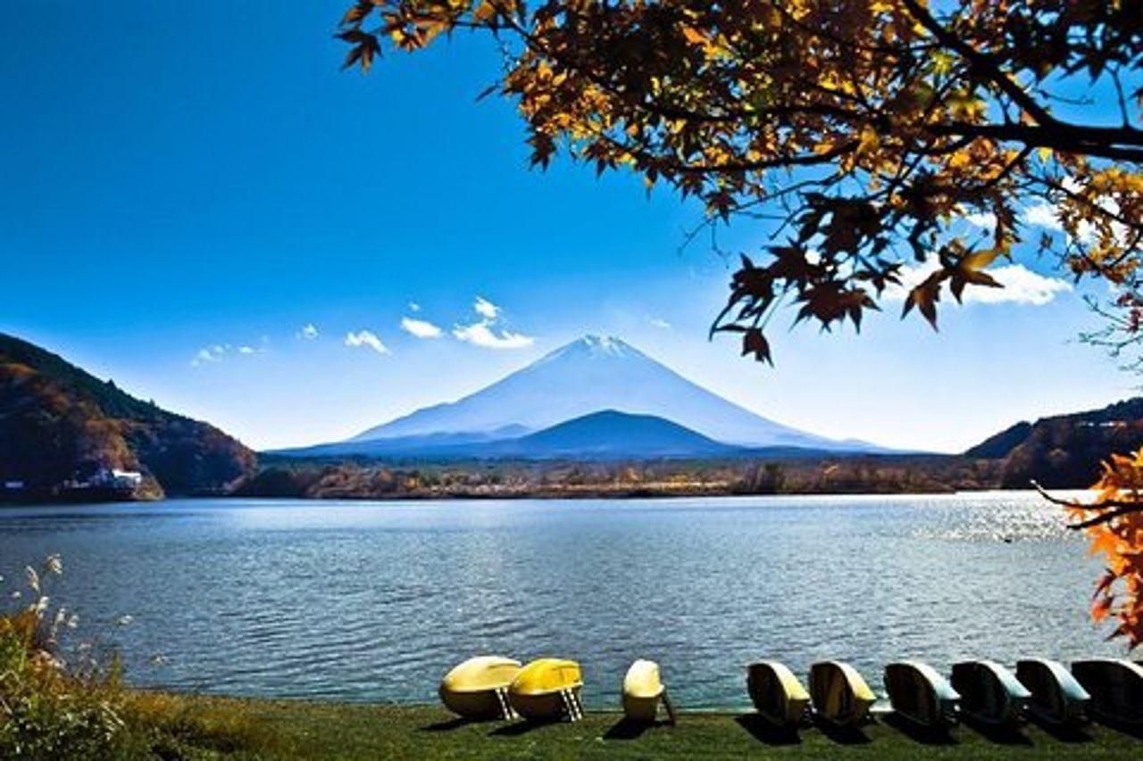 Tour privato di Fuji Hakone con autista bilingue