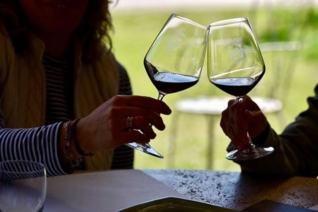 Winery tours and Tastings in Bolgheri with Wine Guide