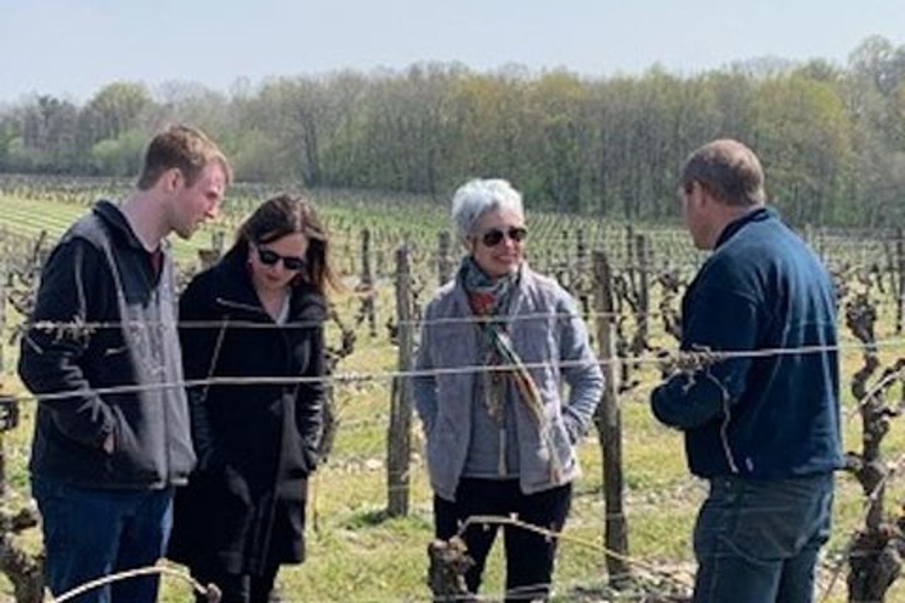 Tour enologici della Loira in lingua inglese provenienti da Chinon