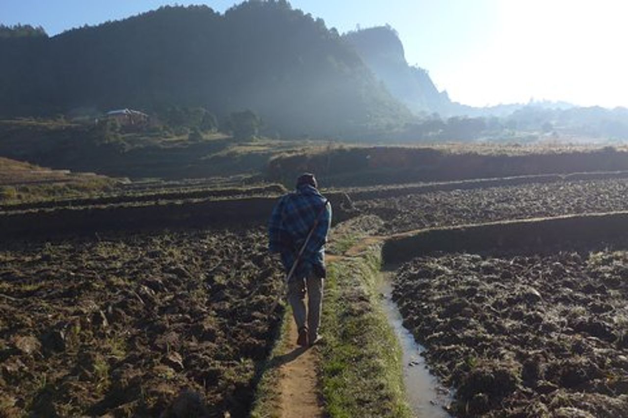 Trekking, escursioni e tour Madagascar