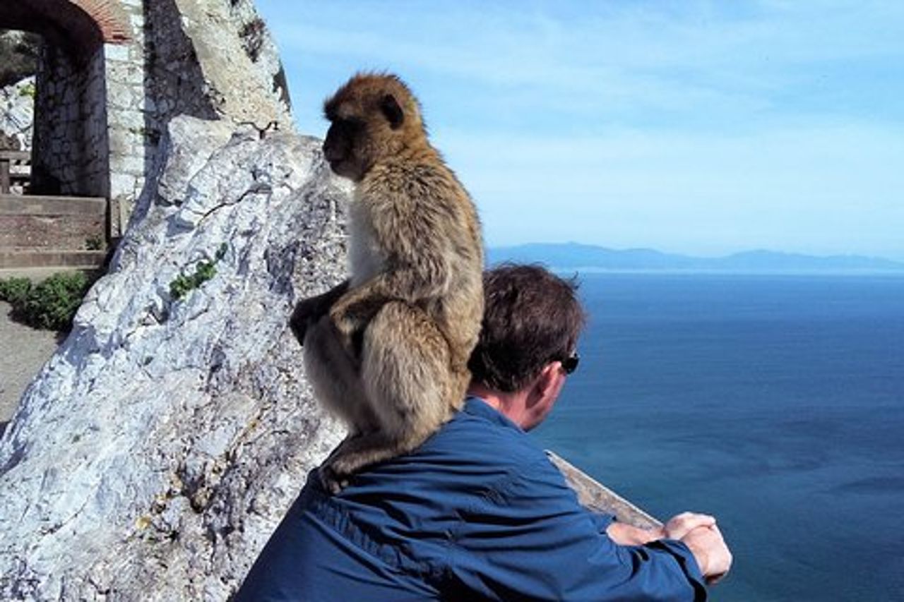 Viaggio privato a Gibilterra da Marbella o Malaga