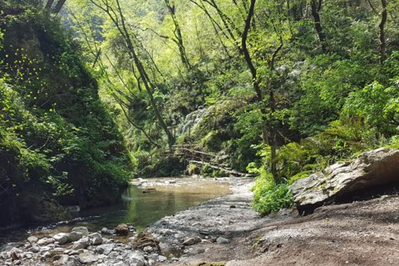 Escursione alle Cascate delle Ferriere - Costiera Amalfitana e Ravello