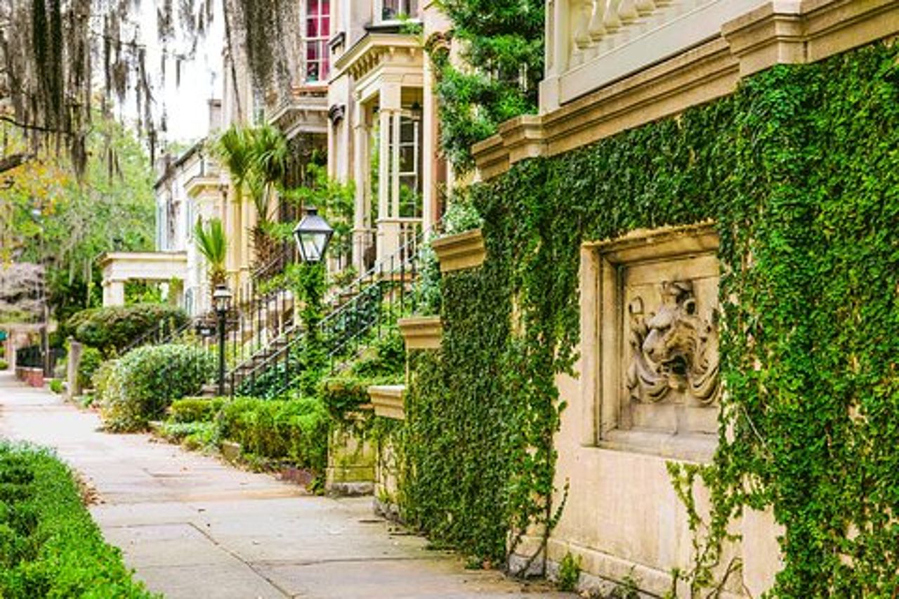 Combinazione Savannah Land & Sea: City Sightseeing Trolley Tour con Riverboat Cruise