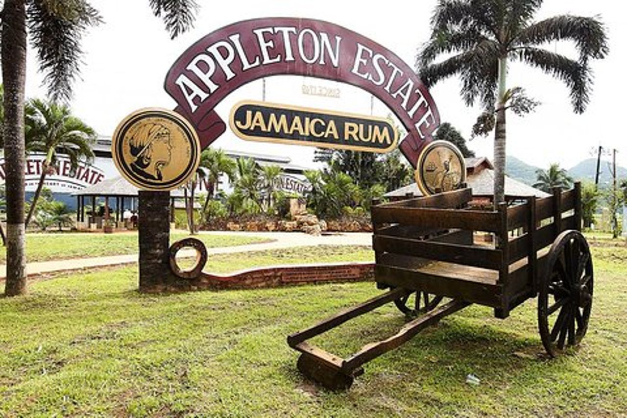 Appleton e Y.S Falls Tour dagli hotel di Negril