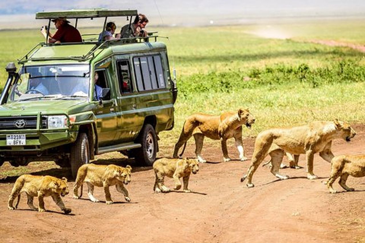 Safari di 3 giorni in Tanzania - Manyara, Ngorongoro e Tarangire