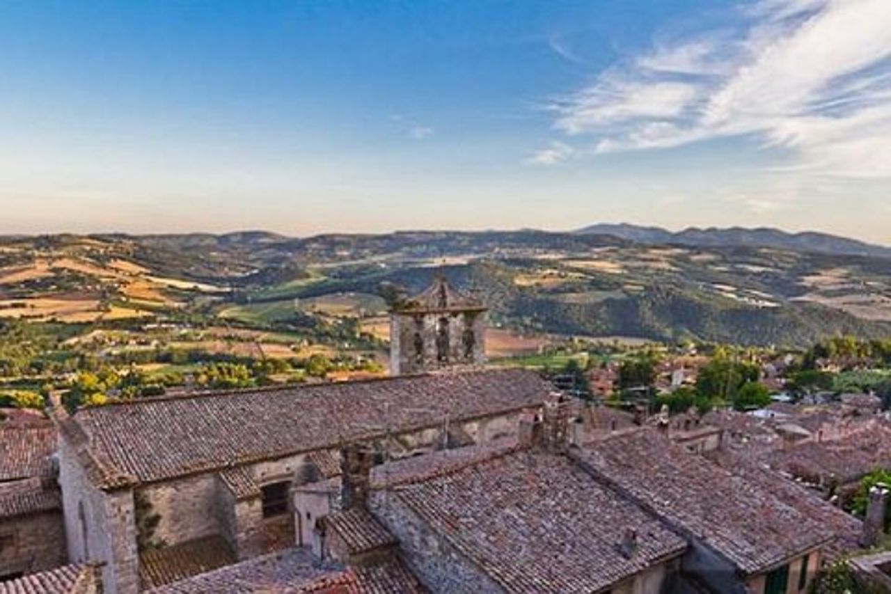 Giro in carrozza tra i vigneti - pranzo - Tour di Montefalco