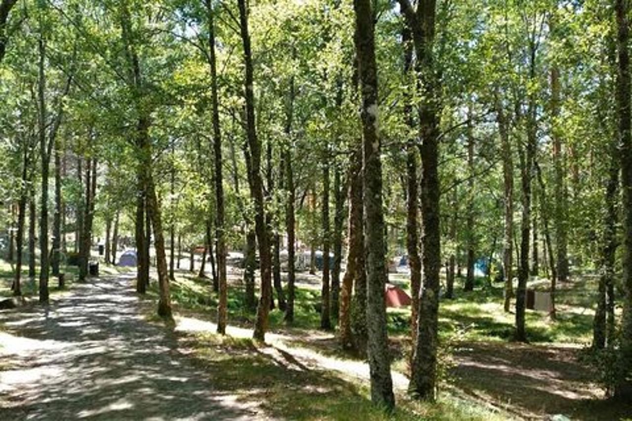 Avventura sugli alberi e sugli scivoli a Lamas de Mouro al PNPG