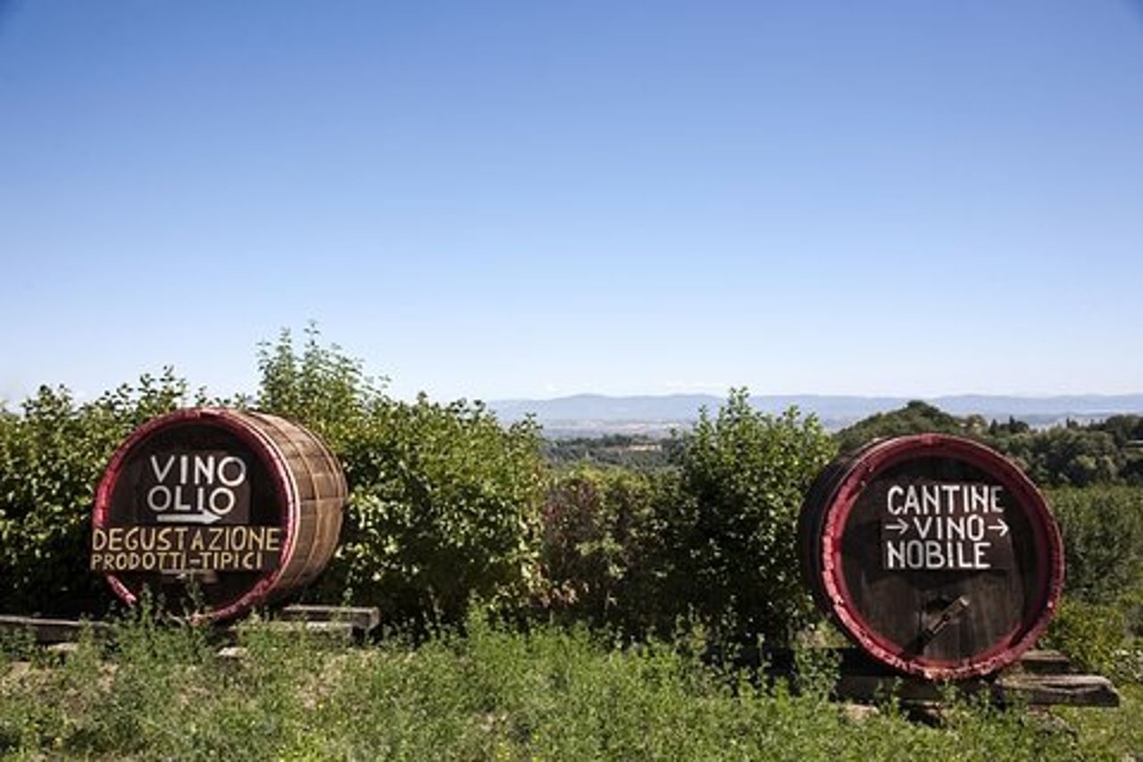 Regione del Chianti e San Gimignano con degustazione di vini e light lunch
