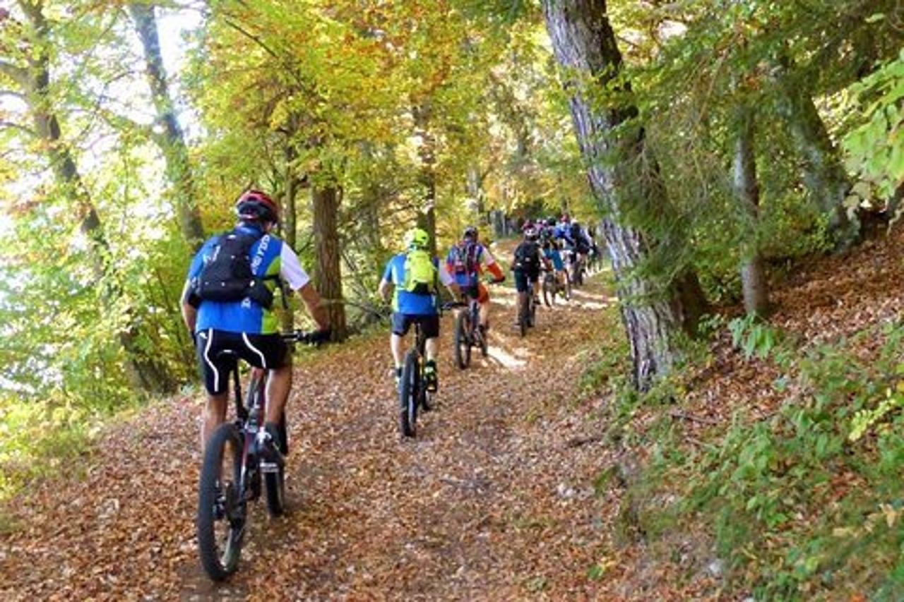 noleggio e-bike tour guidati