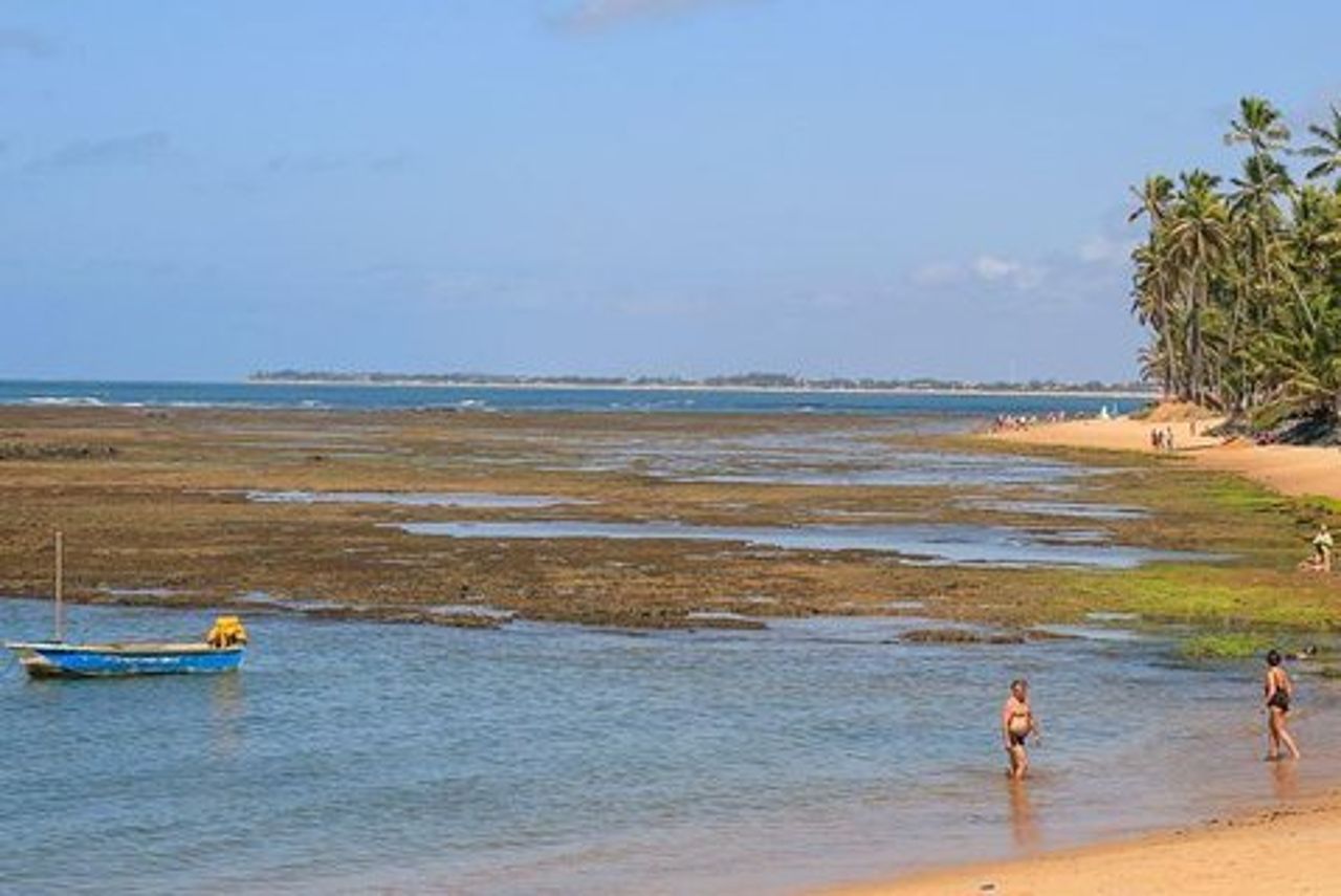 Tour di un'intera giornata a Praia do Forte, Salvador, Bahia, Brasile
