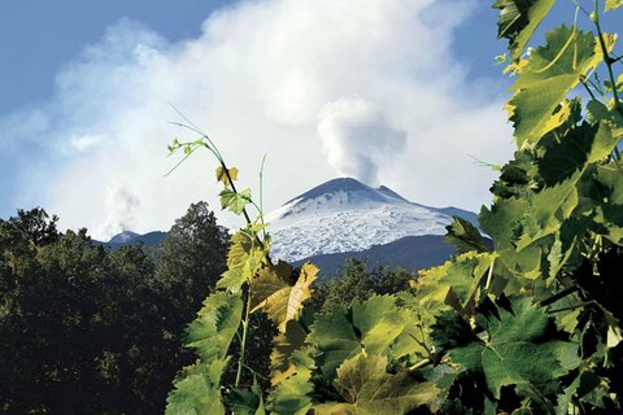 Tour Etna e Vini