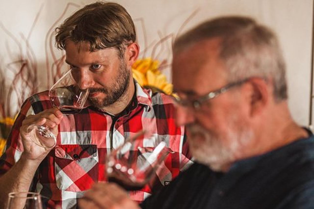 Degustazione di vini a Bolgheri