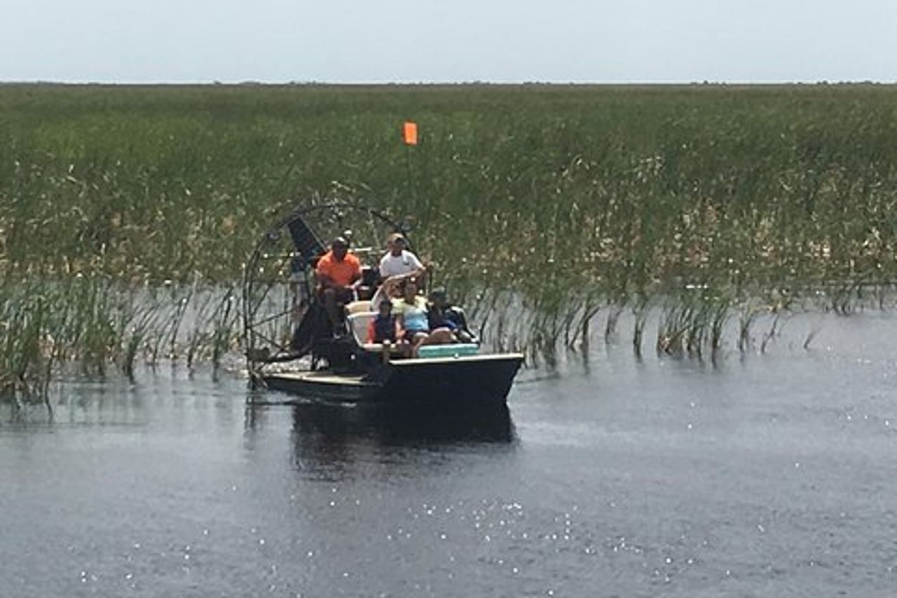Tour privato in airboat di 1,5 ore delle Everglades di Miami