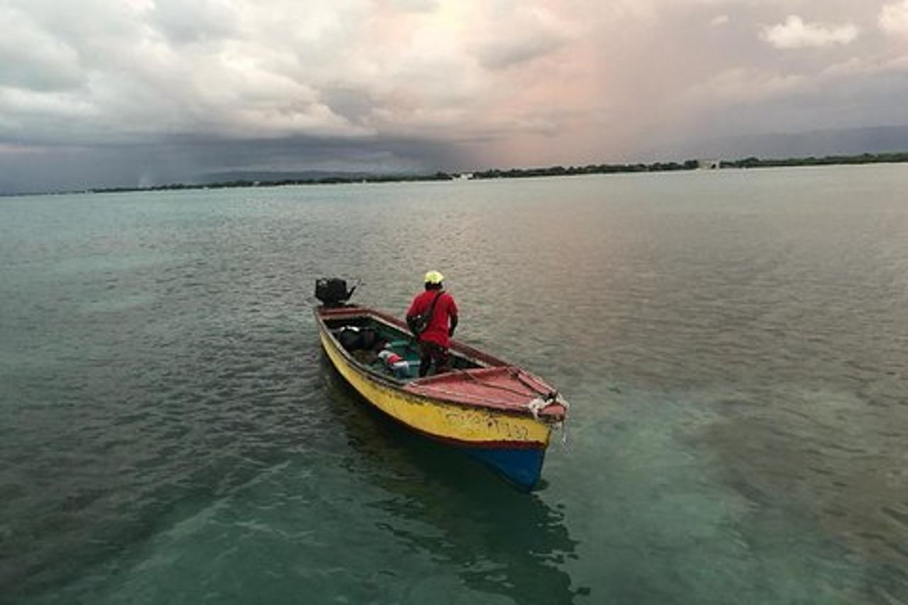 YS Falls, Black River Safari, Floyd's Pelican Bar