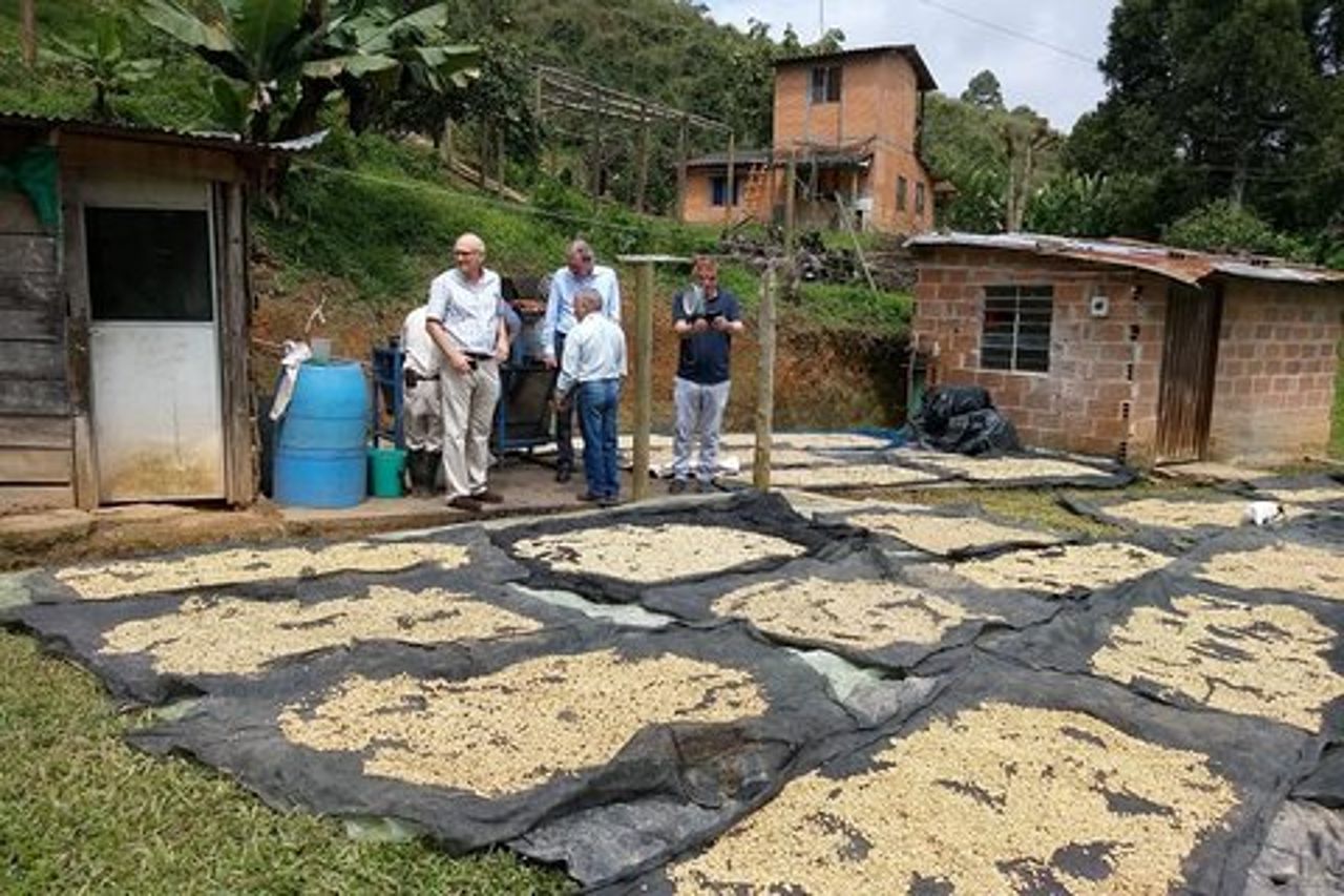 Tour privato del caffè in Colombia