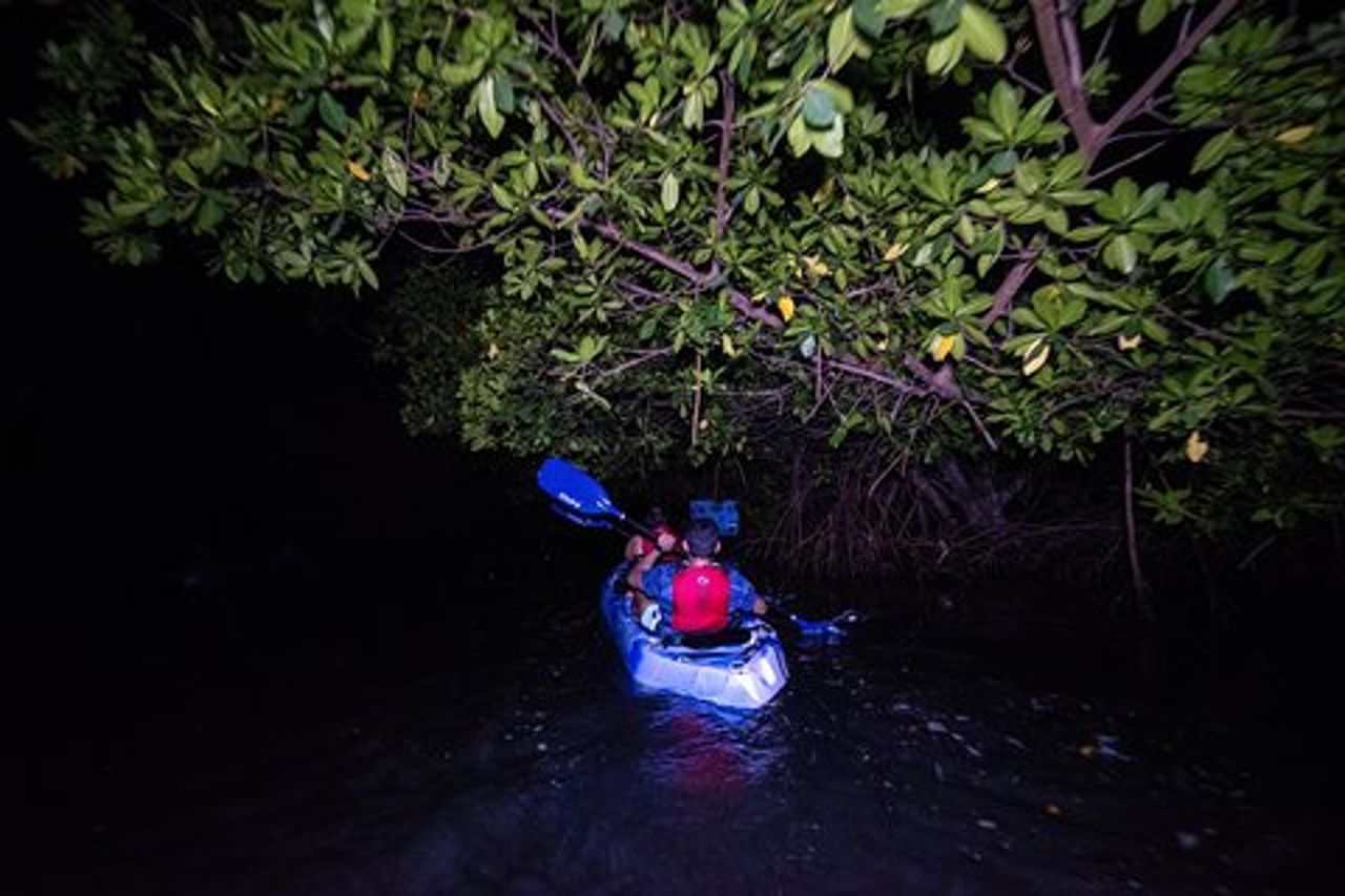 Bioluminescent Bay Kayak Adventure da San Juan