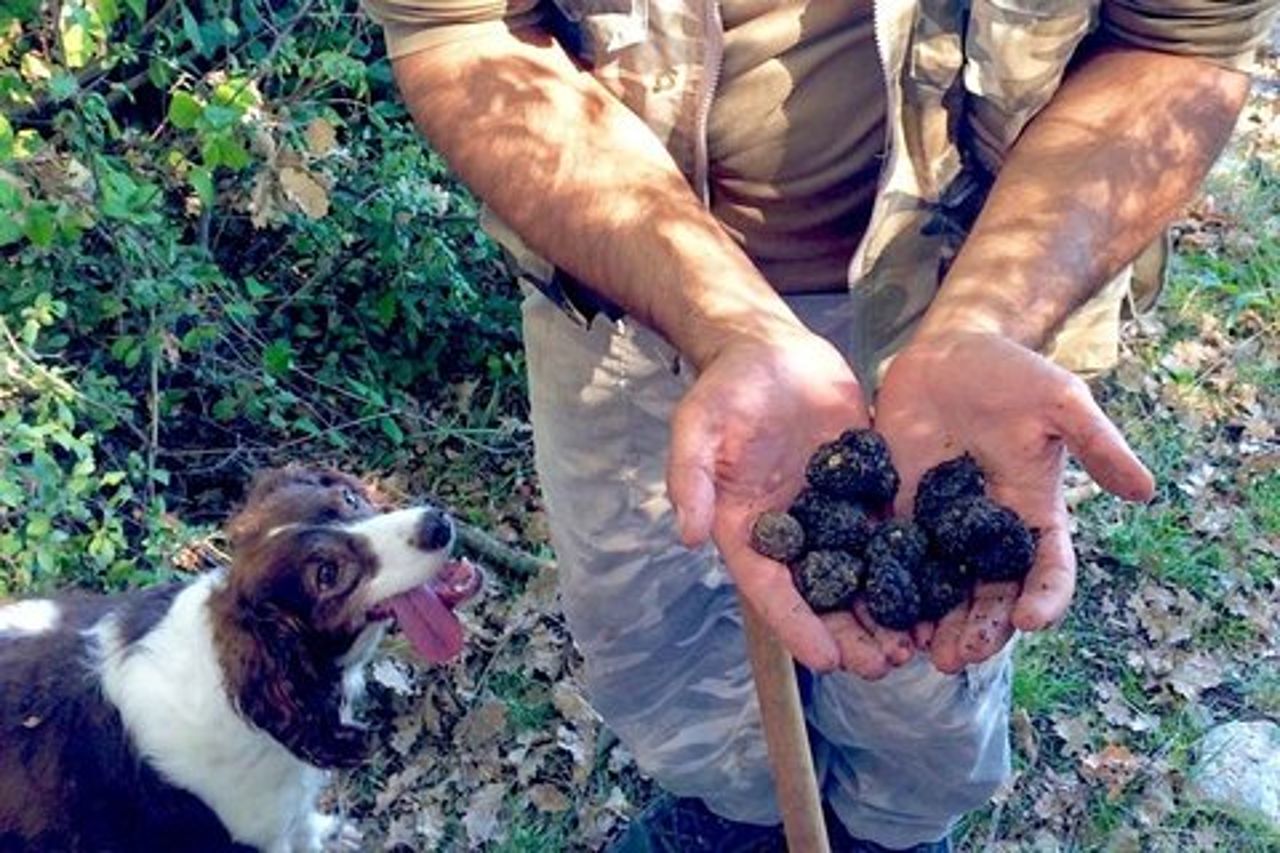 La vera caccia al tartufo in Abruzzo