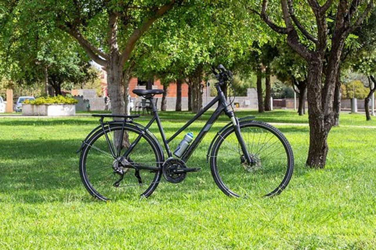 Noleggio bici da trekking Sardegna