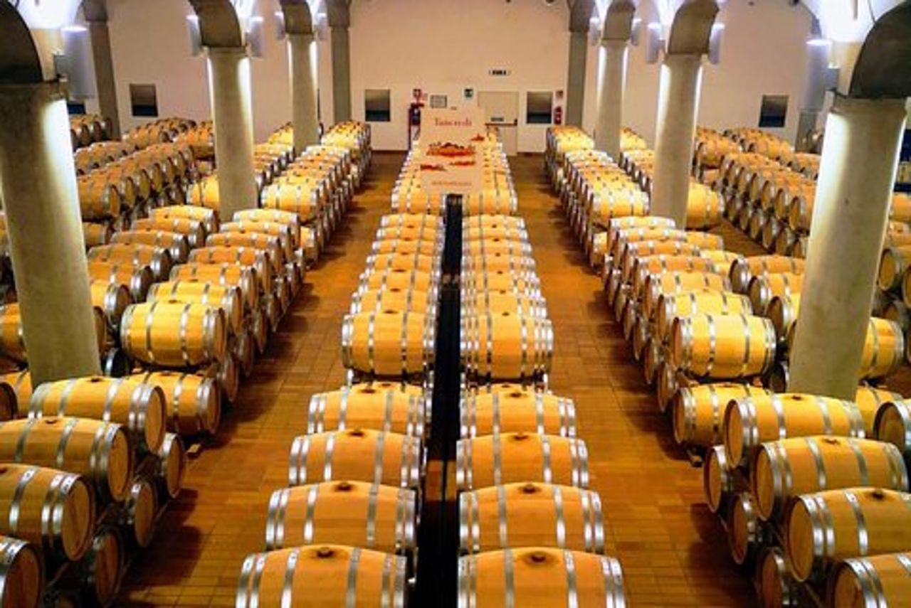 Degustazione in cantina a Marsala e tour della laguna di Mothia