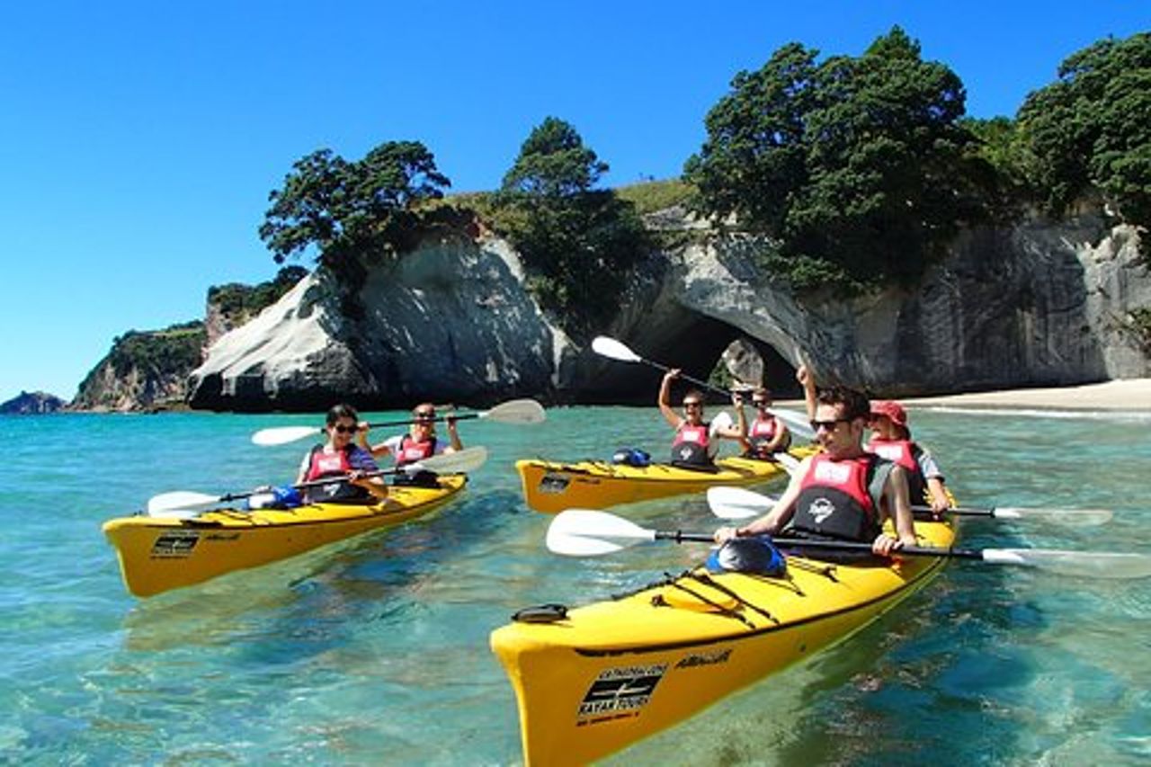 Tour in kayak nella baia della cattedrale