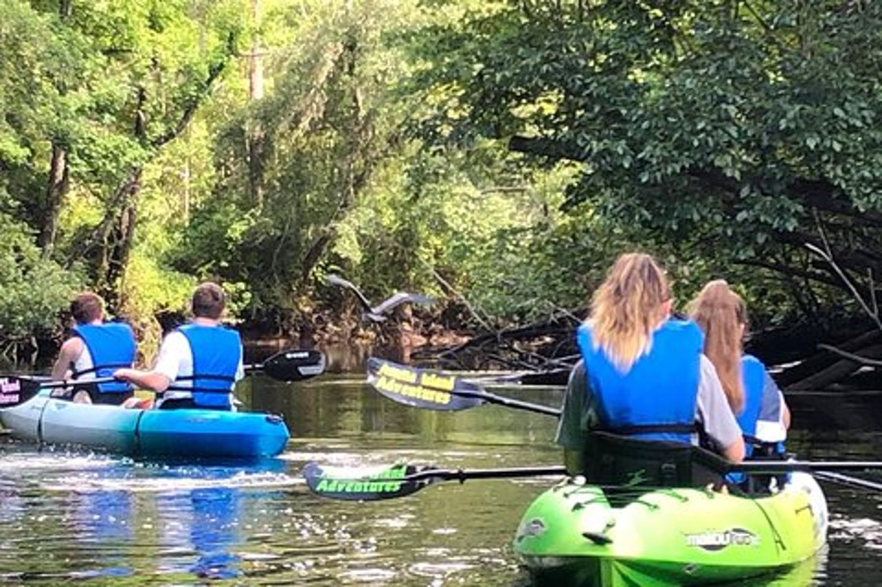 Tour ecologico guidato in kayak: vera avventura in Florida