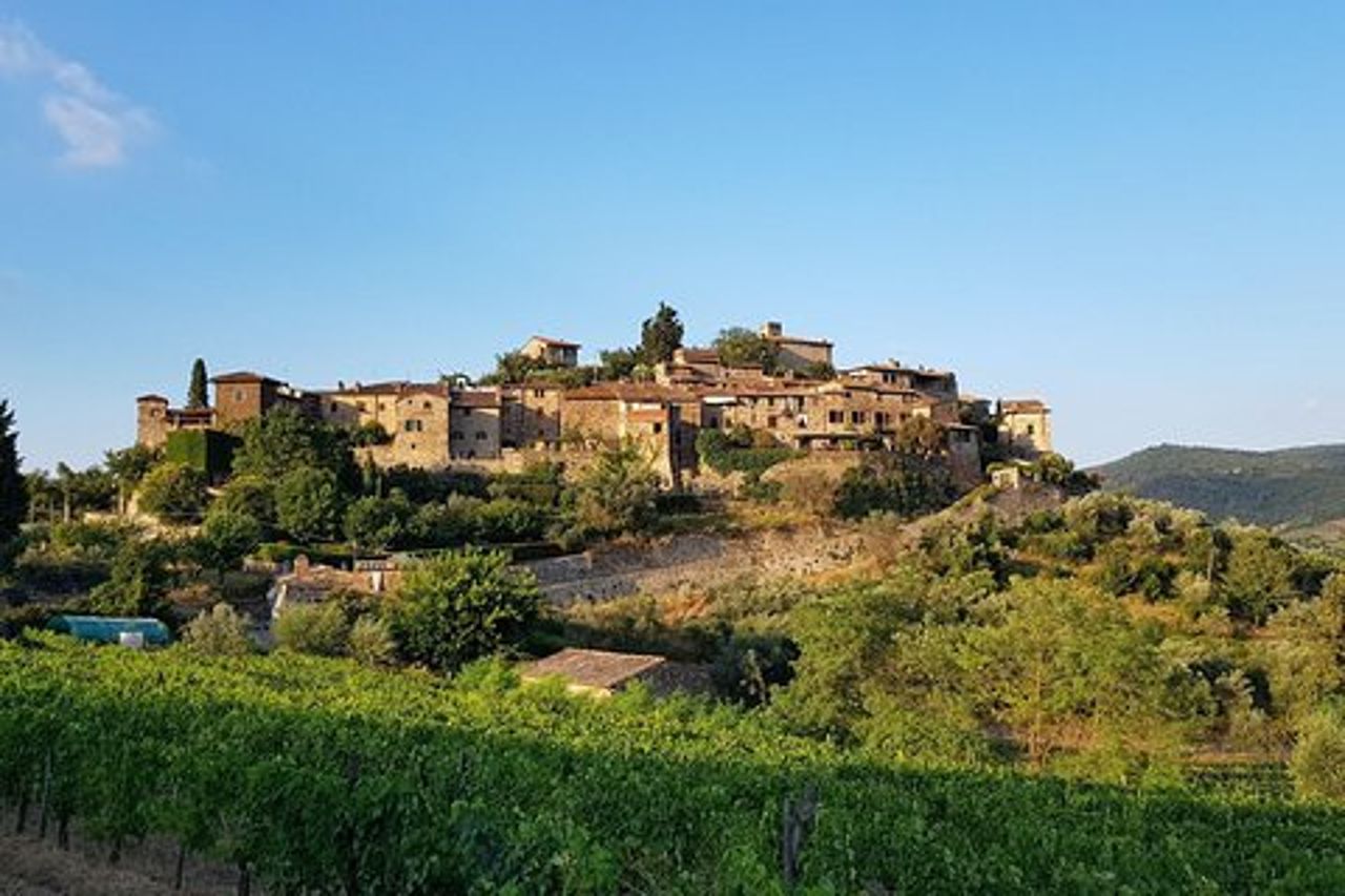 Azienda vinicola Montefioralle - Tour e degustazione di vini nel Chianti
